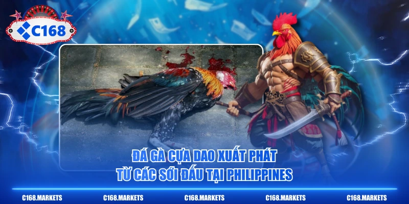 Đá gà cựa dao xuất phát từ các sới đấu tại Philippines