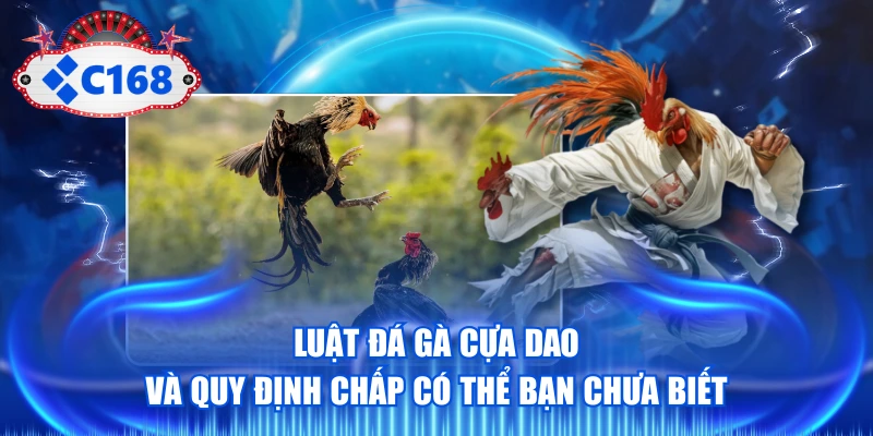 Luật Đá Gà Cựa Dao Và Quy Định Chấp Có Thể Bạn Chưa Biết
