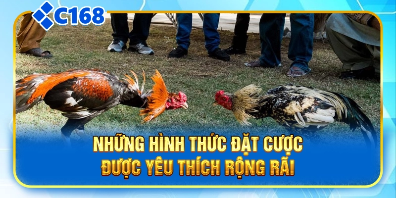 Những hình thức đặt cược được yêu thích rộng rãi